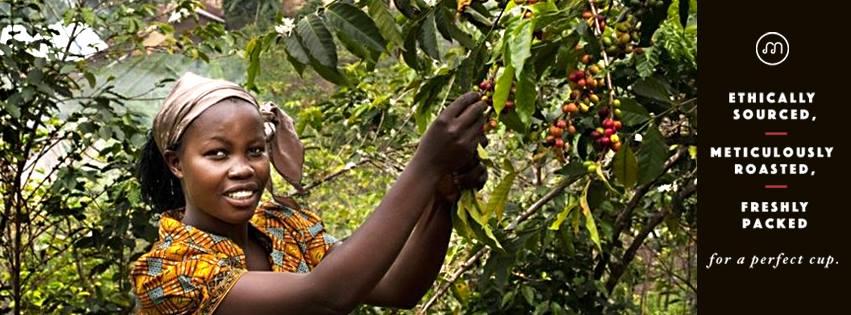 Meraki Coffee Roasters